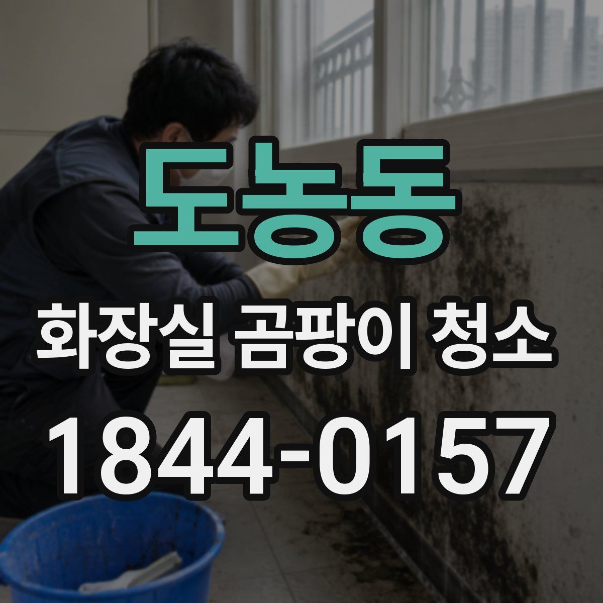 도농동 화장실 곰팡이 청소