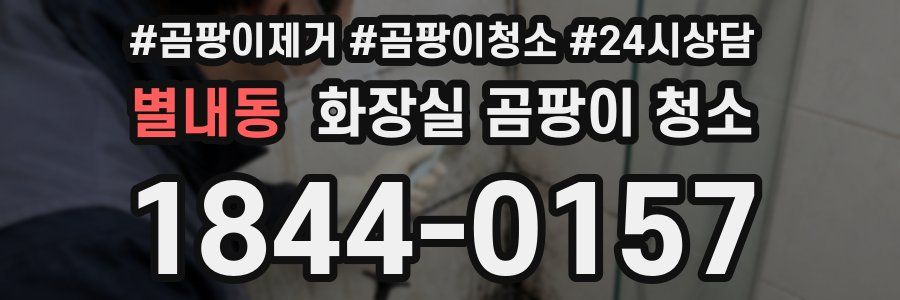 별내동 화장실 곰팡이 청소