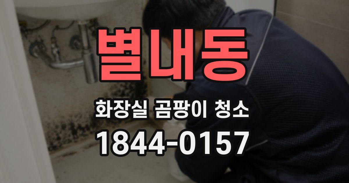 별내동 화장실 곰팡이 청소