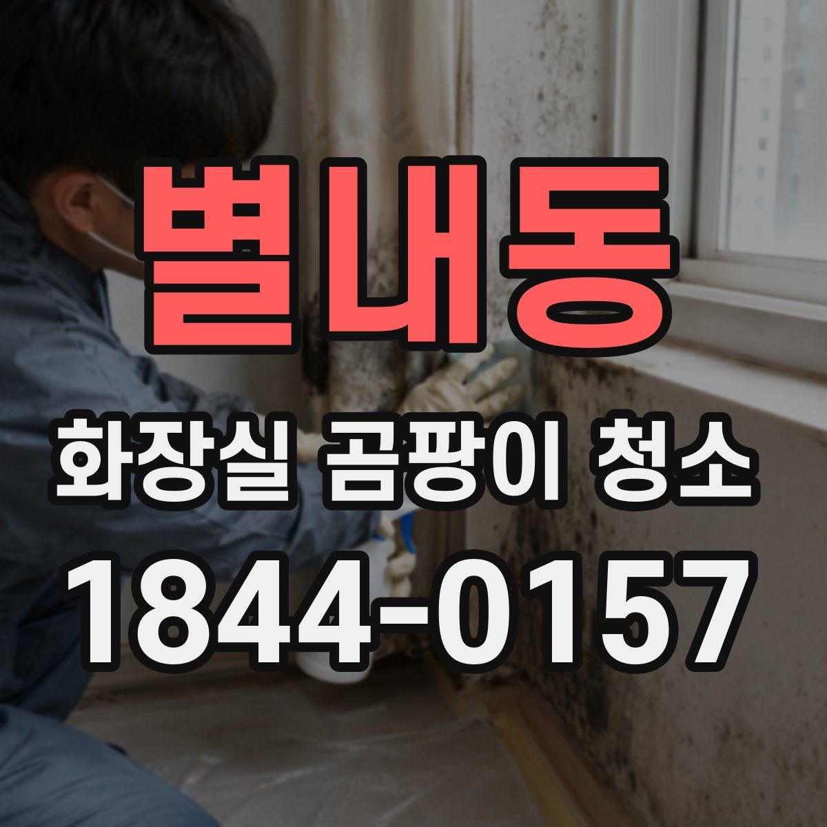 별내동 화장실 곰팡이 청소