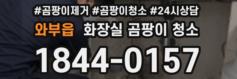 와부읍 화장실 곰팡이 청소
