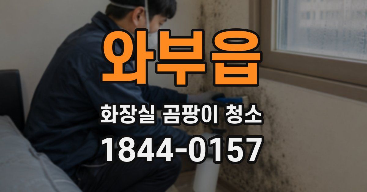와부읍 화장실 곰팡이 청소