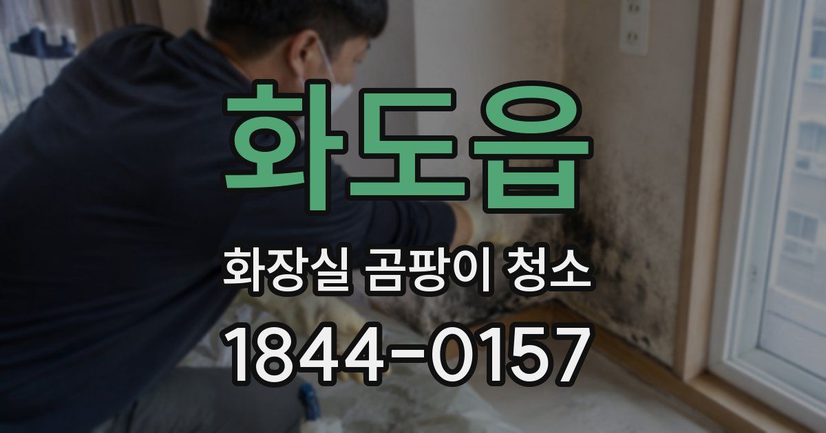 화도읍 화장실 곰팡이 청소