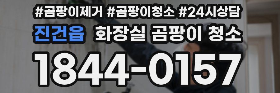 진건읍 화장실 곰팡이 청소
