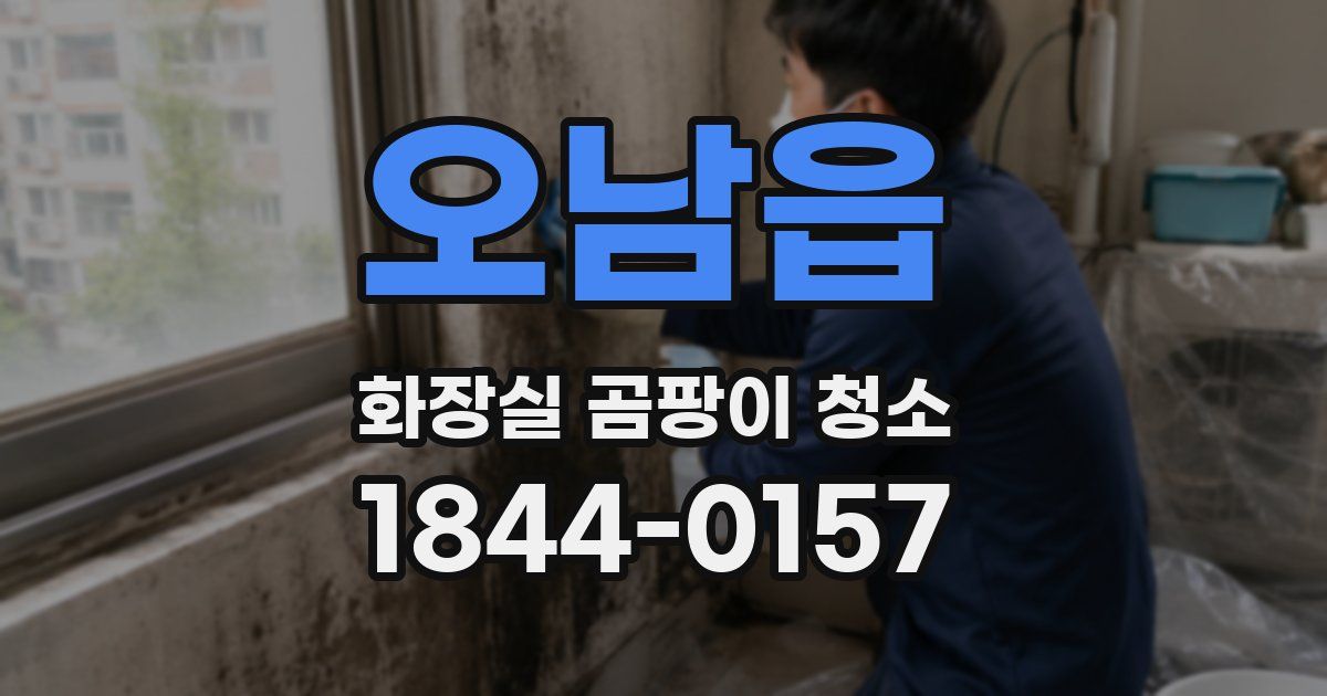 오남읍 화장실 곰팡이 청소