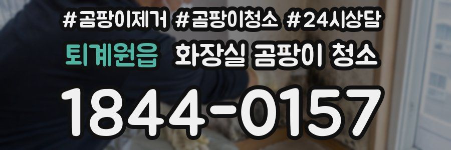퇴계원읍 화장실 곰팡이 청소