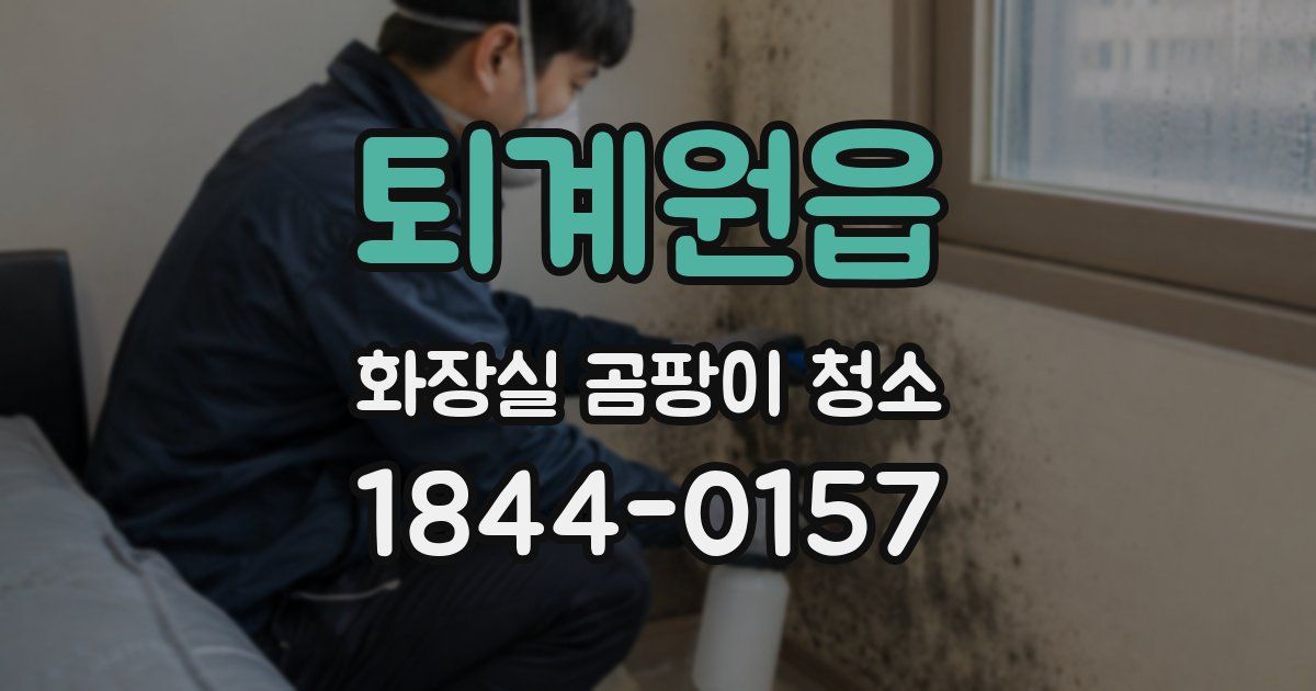 퇴계원읍 화장실 곰팡이 청소