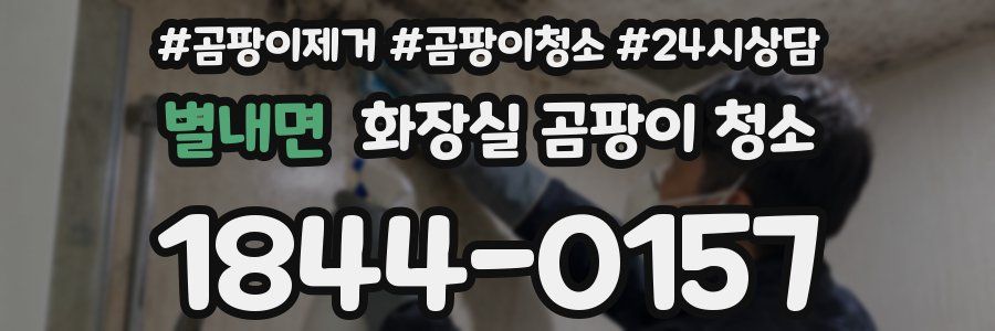 별내면 화장실 곰팡이 청소
