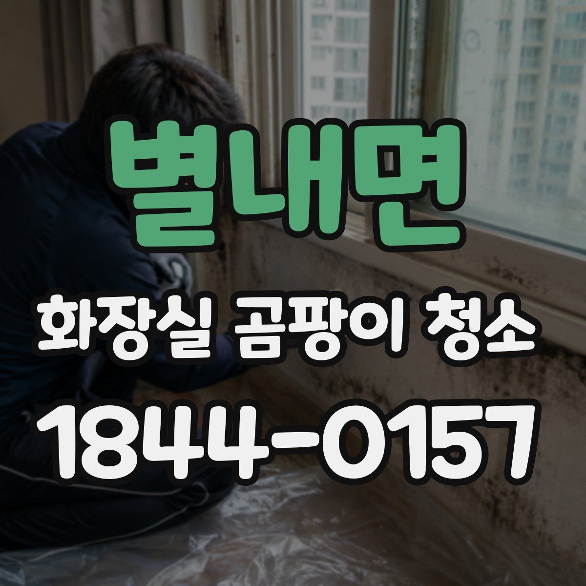 별내면 화장실 곰팡이 청소