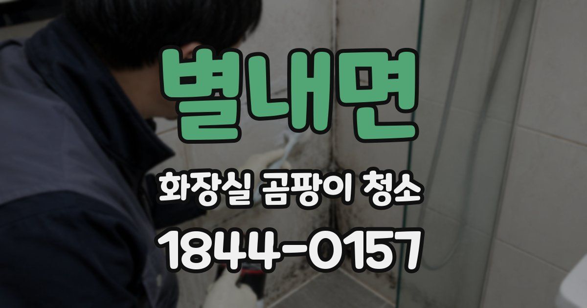 별내면 화장실 곰팡이 청소