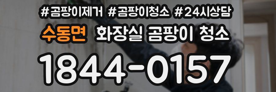 수동면 화장실 곰팡이 청소