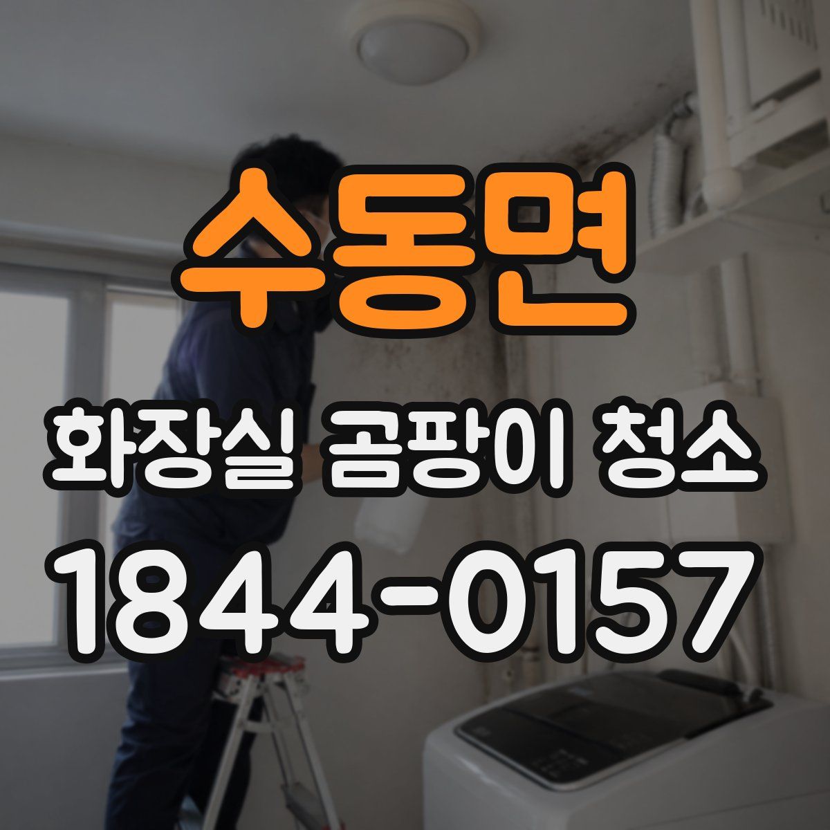 수동면 화장실 곰팡이 청소