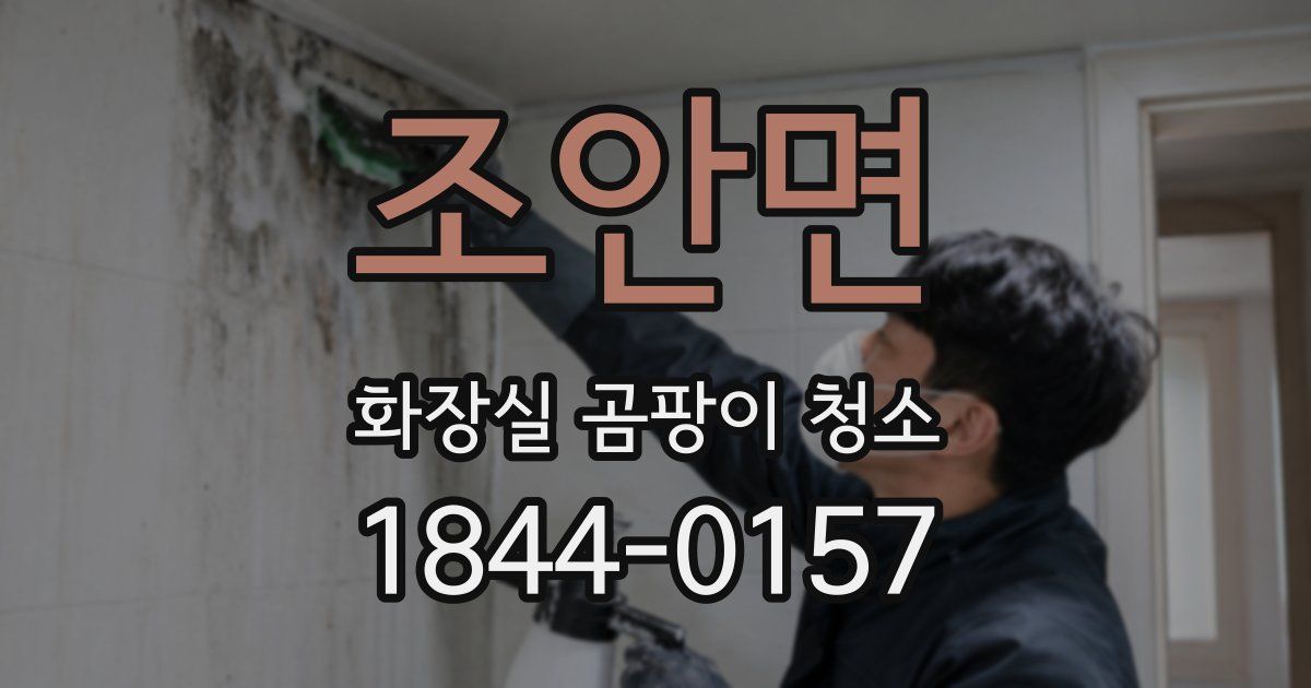 조안면 화장실 곰팡이 청소