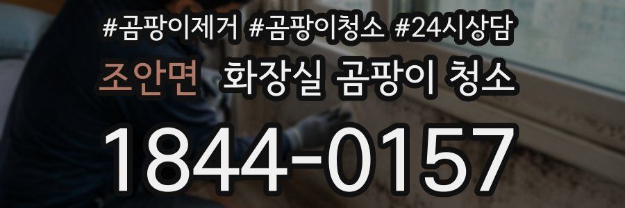 조안면 화장실 곰팡이 청소