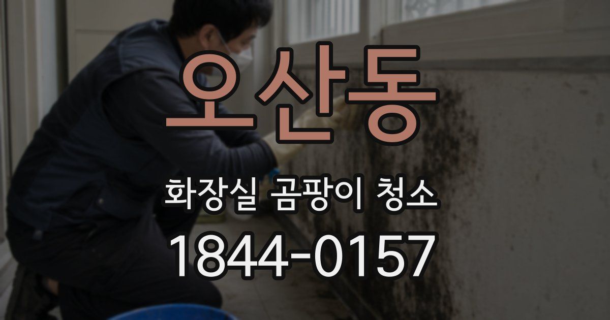 오산동 화장실 곰팡이 청소