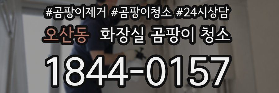 오산동 화장실 곰팡이 청소