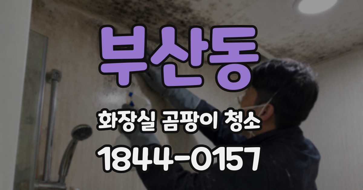 부산동 화장실 곰팡이 청소