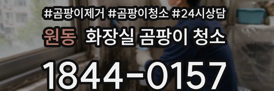원동 화장실 곰팡이 청소