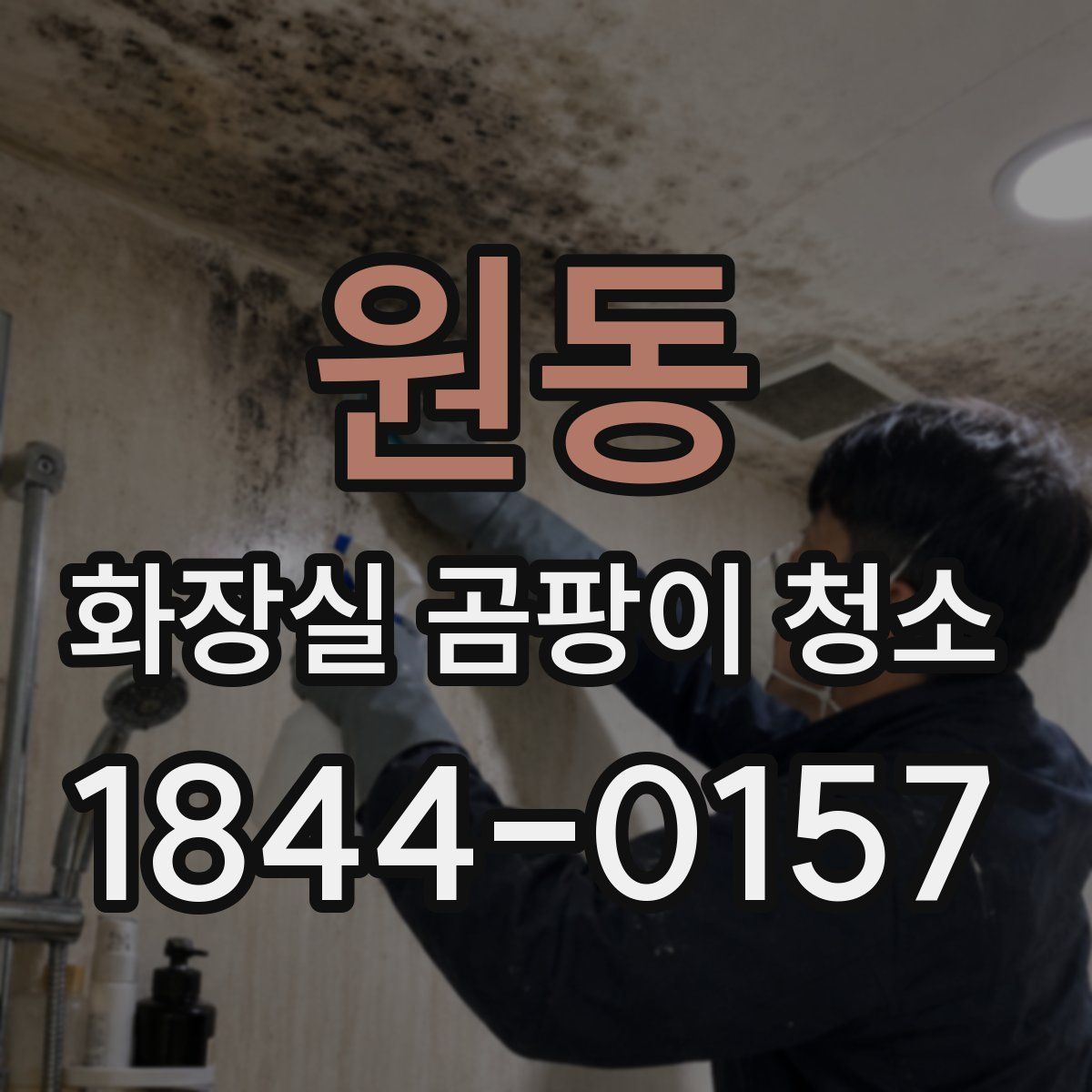 원동 화장실 곰팡이 청소