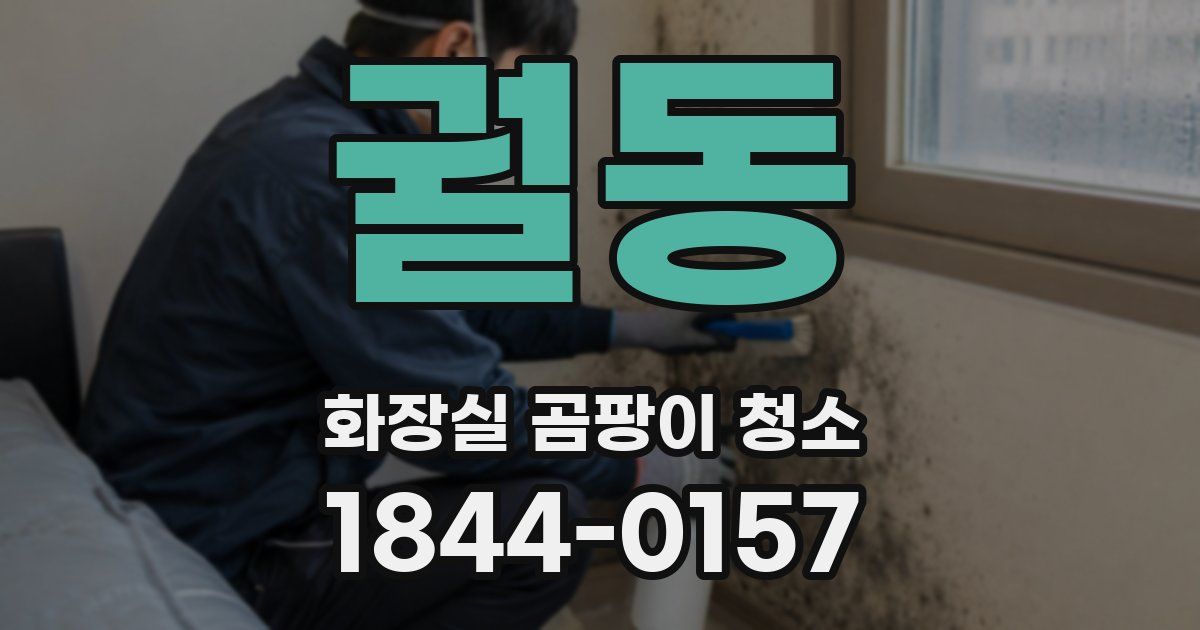 궐동 화장실 곰팡이 청소