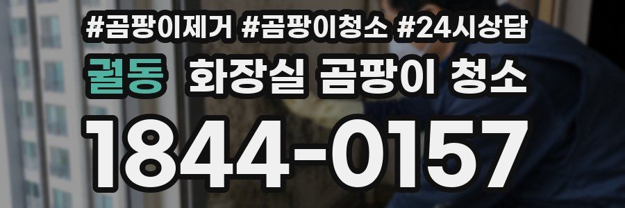 궐동 화장실 곰팡이 청소