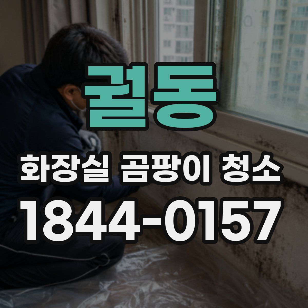 궐동 화장실 곰팡이 청소