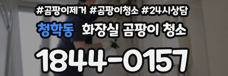 청학동 화장실 곰팡이 청소