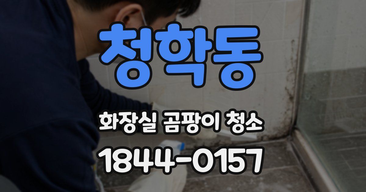 청학동 화장실 곰팡이 청소