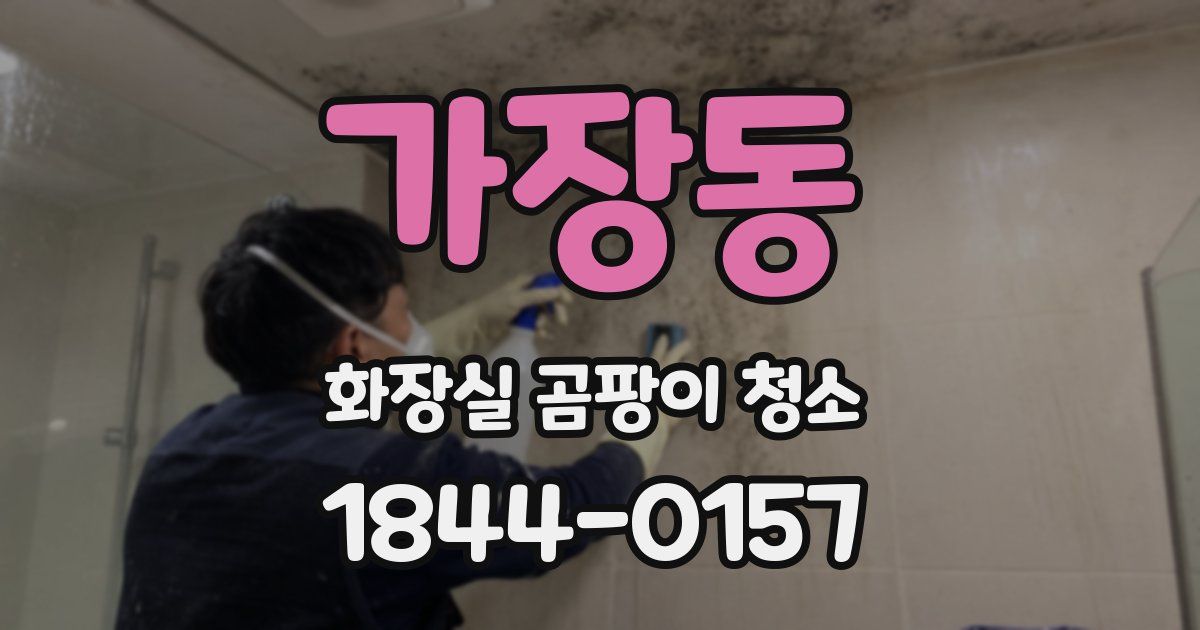 가장동 화장실 곰팡이 청소