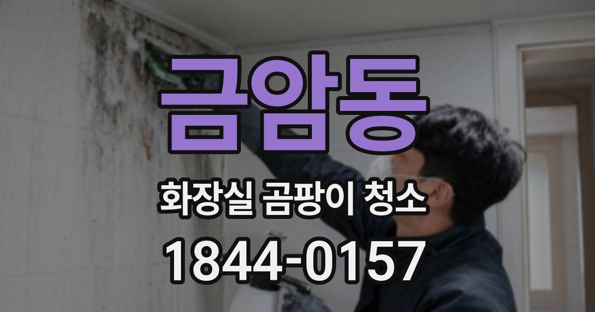 금암동 화장실 곰팡이 청소