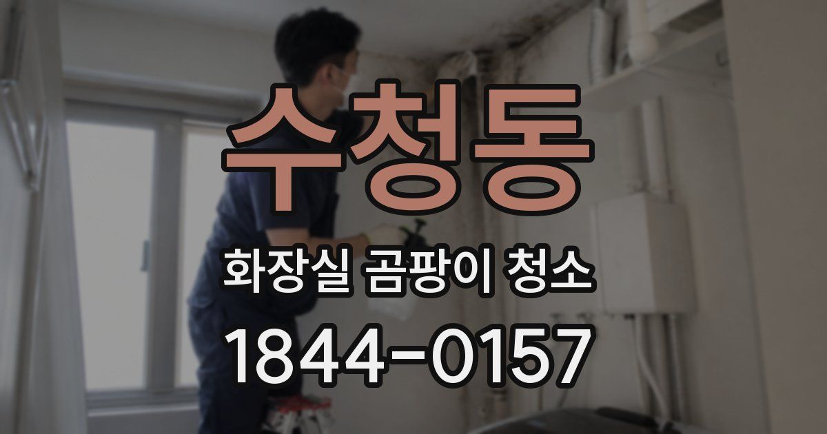 수청동 화장실 곰팡이 청소