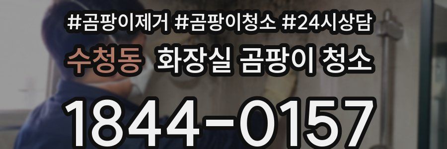 수청동 화장실 곰팡이 청소