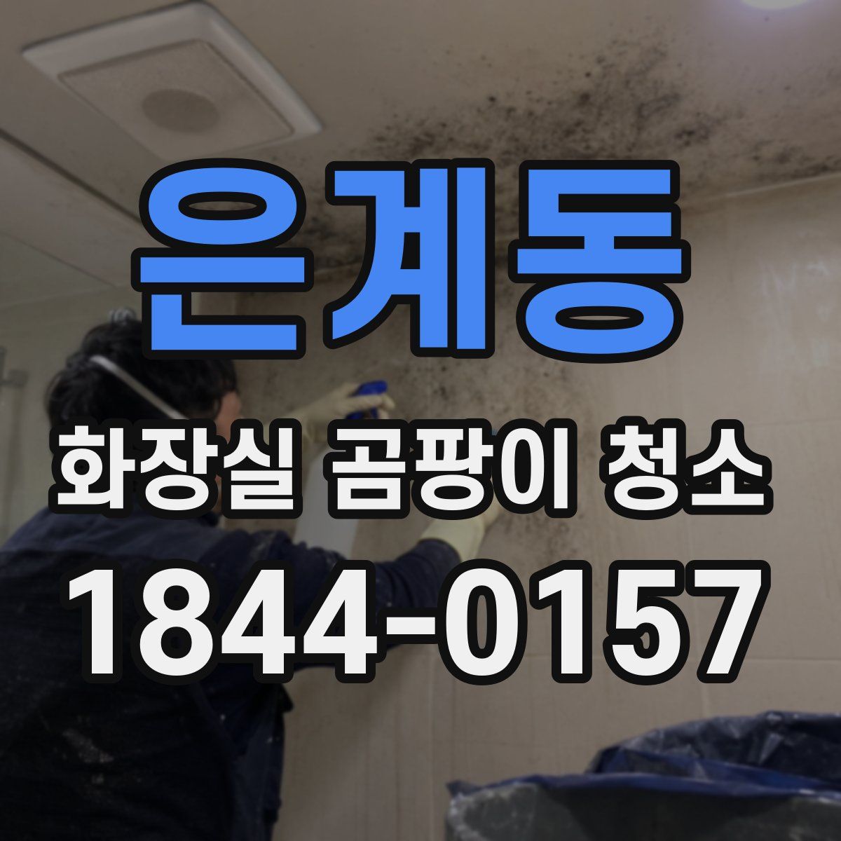 은계동 화장실 곰팡이 청소