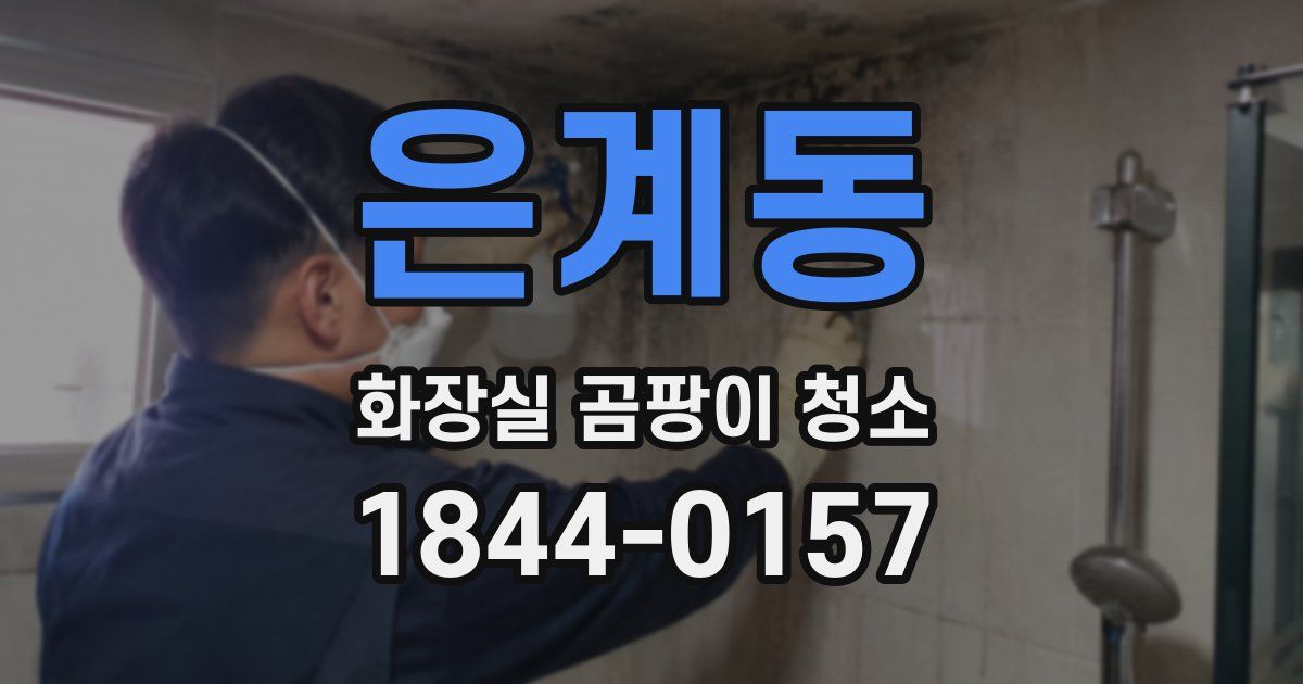 은계동 화장실 곰팡이 청소