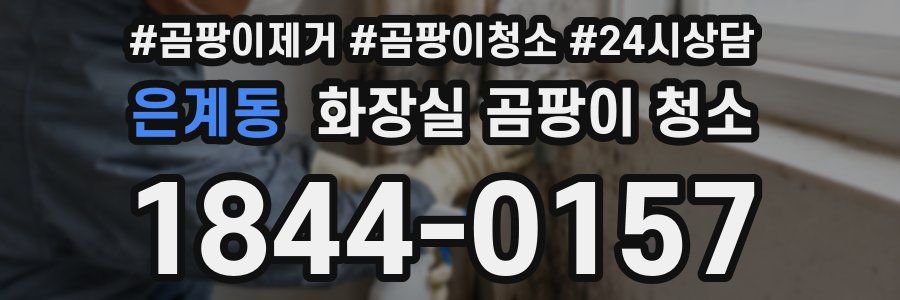 은계동 화장실 곰팡이 청소