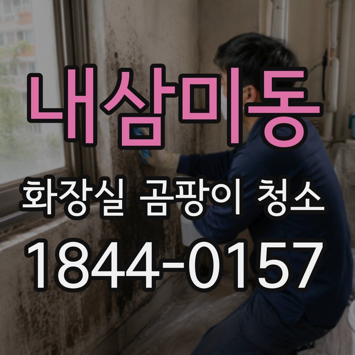 내삼미동 화장실 곰팡이 청소 배관 주변 번식 구간 점검 포인트