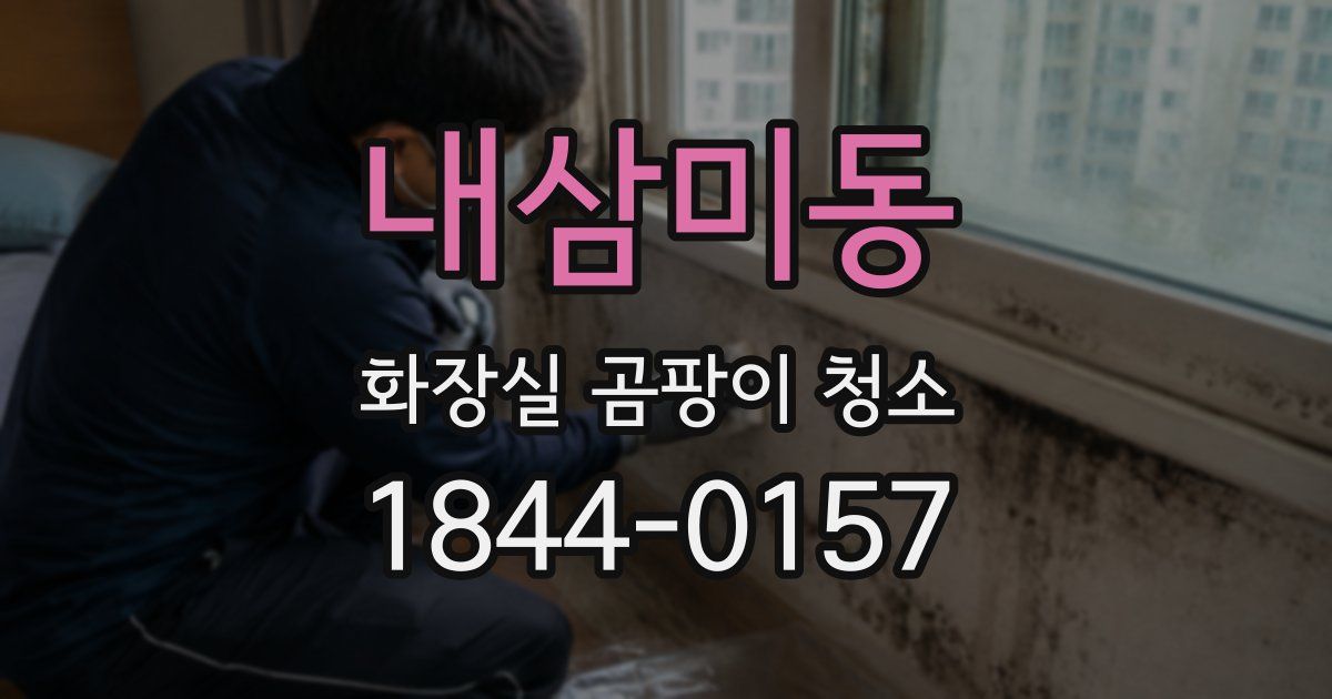 내삼미동 화장실 곰팡이 청소
