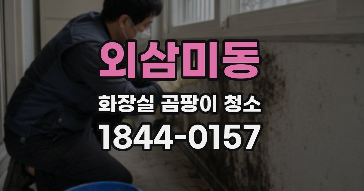 외삼미동 화장실 곰팡이 청소