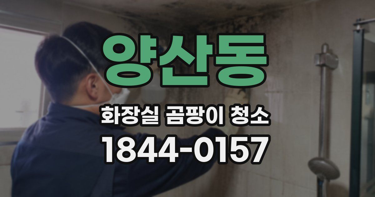 양산동 화장실 곰팡이 청소
