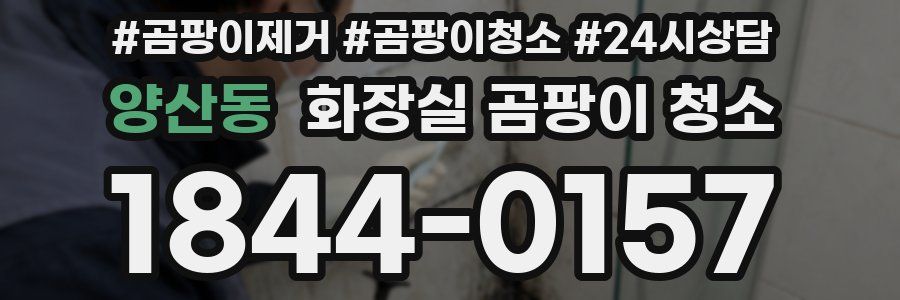 양산동 화장실 곰팡이 청소
