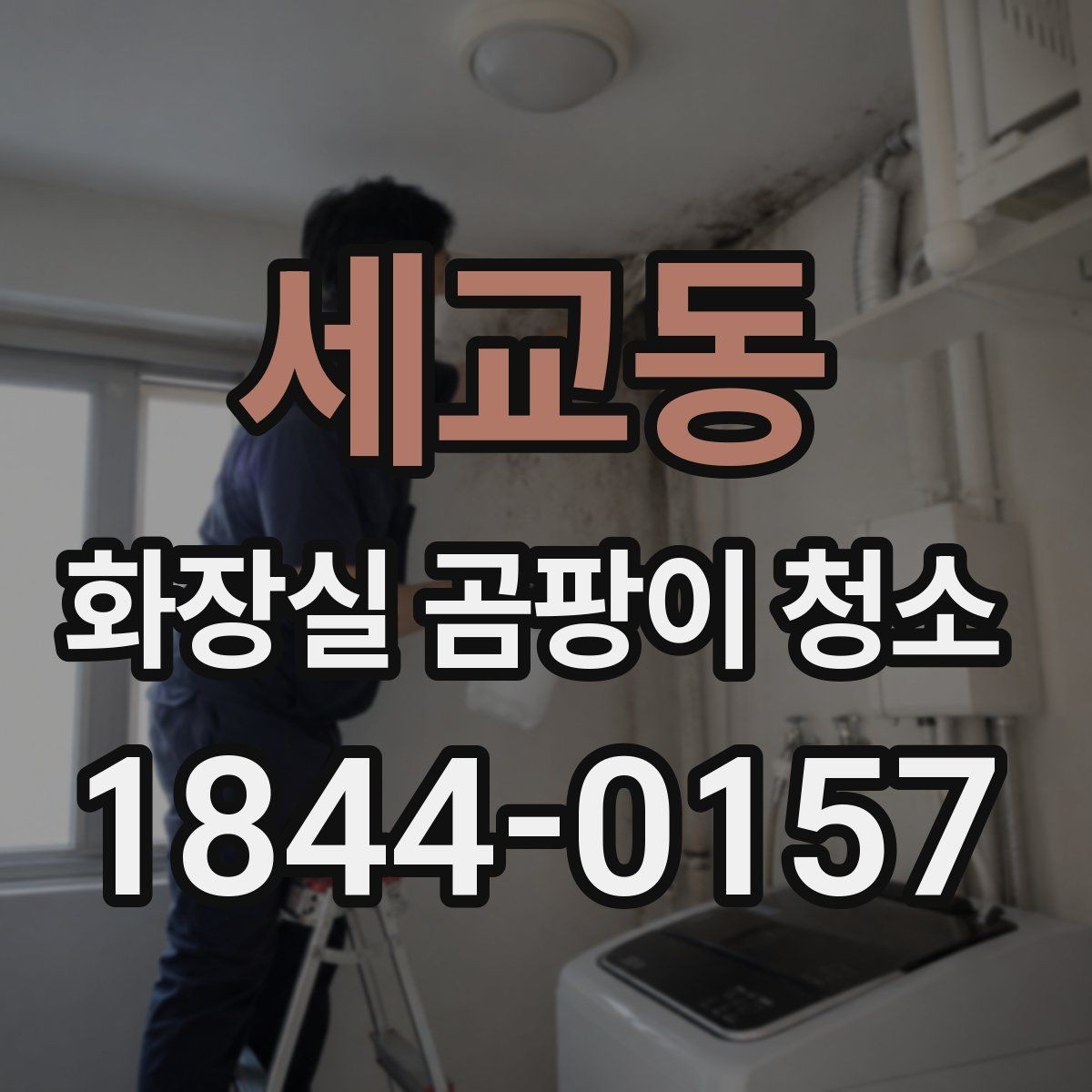 세교동 화장실 곰팡이 청소 브러시와 솔을 고를 때 확인할 기준