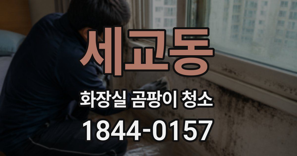 세교동 화장실 곰팡이 청소