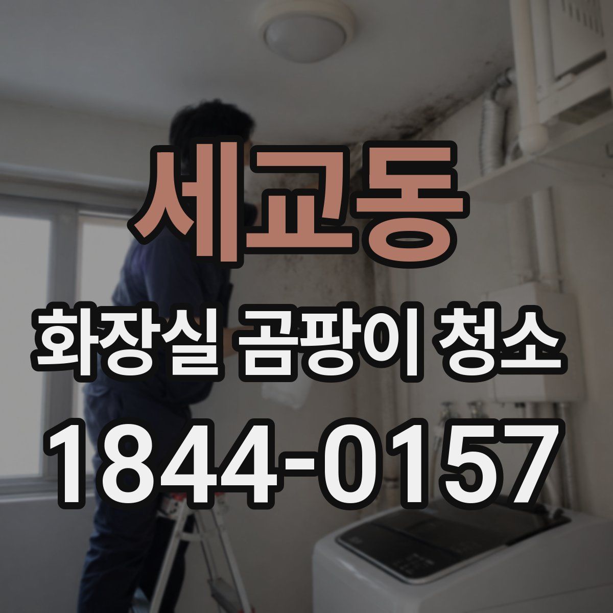 세교동 화장실 곰팡이 청소