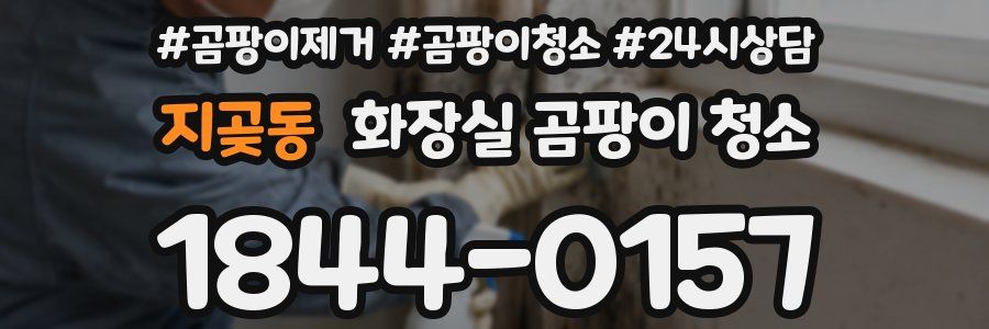 지곶동 화장실 곰팡이 청소