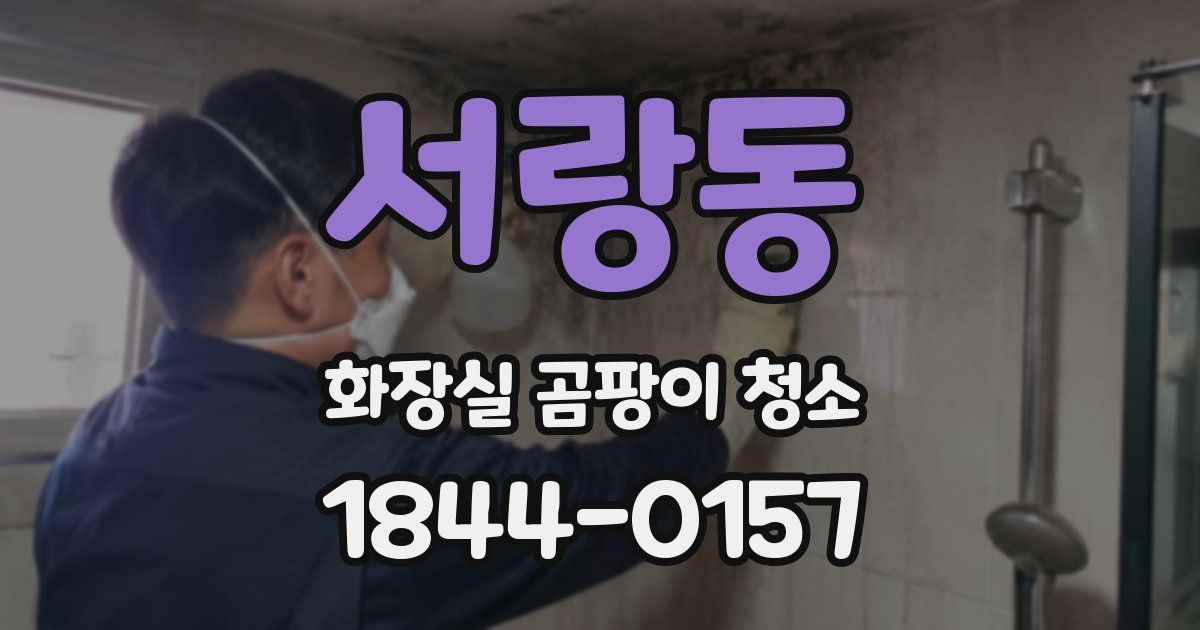 서랑동 화장실 곰팡이 청소