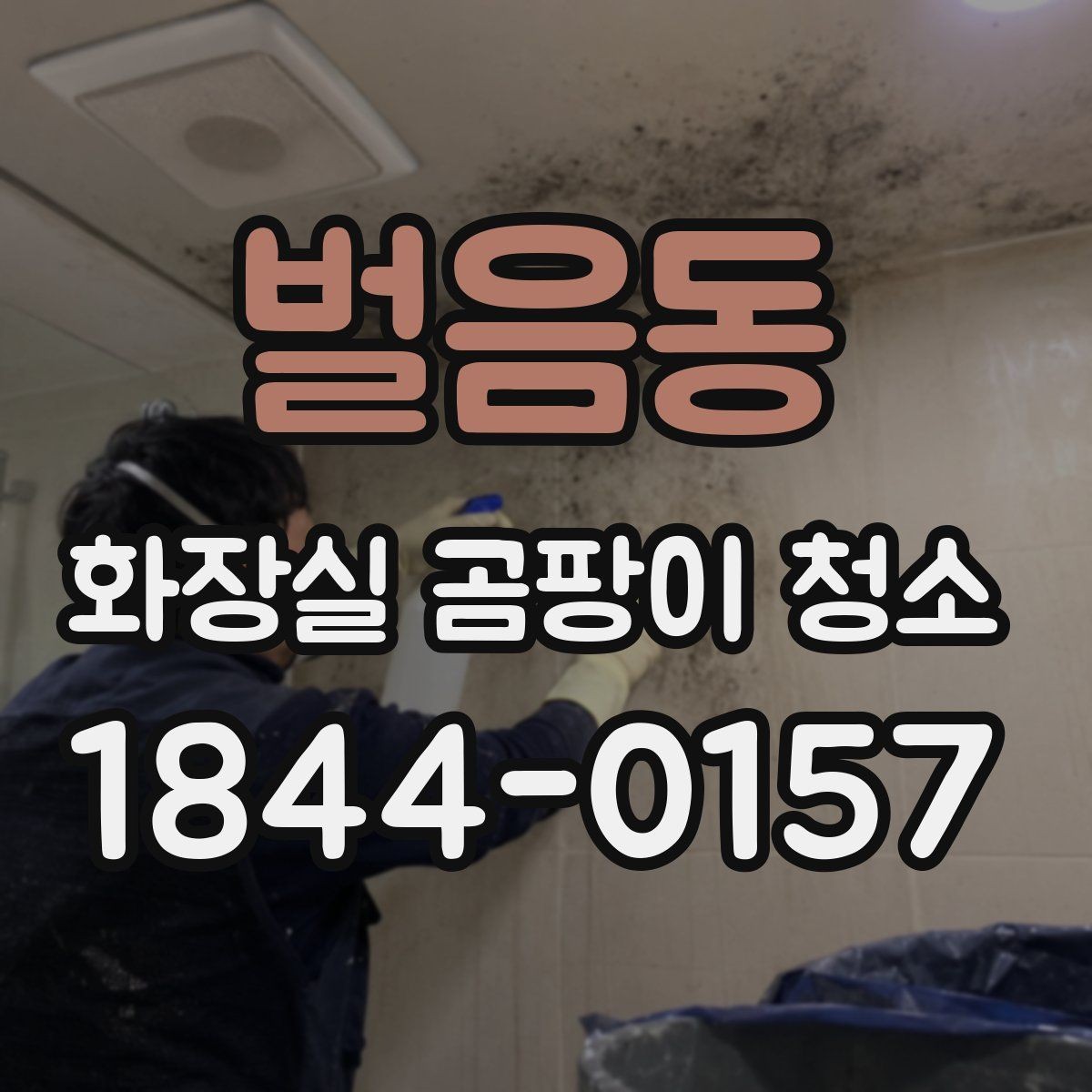 벌음동 화장실 곰팡이 청소 비눗기와 곰팡이가 함께 쌓였을 때 정리법