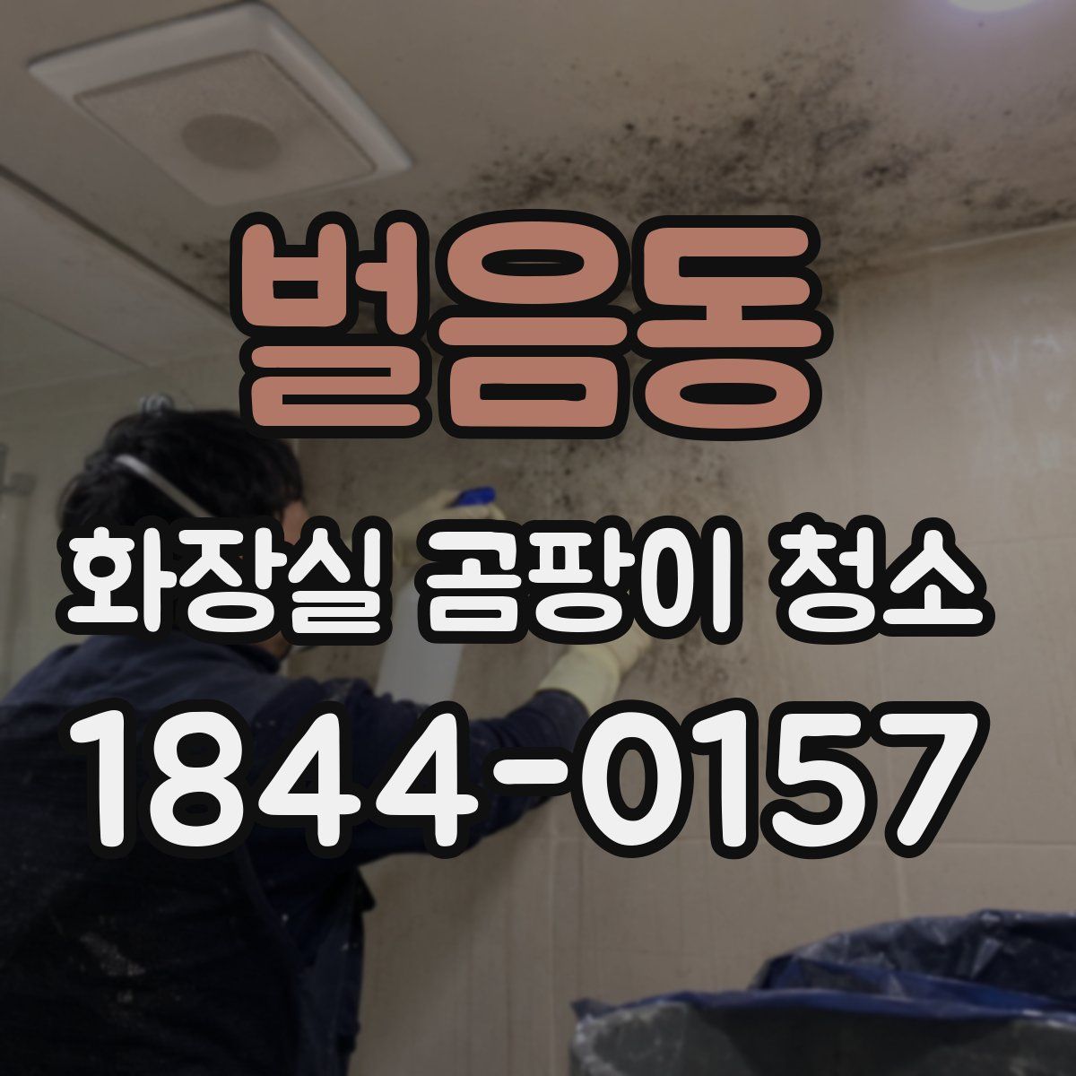 벌음동 화장실 곰팡이 청소