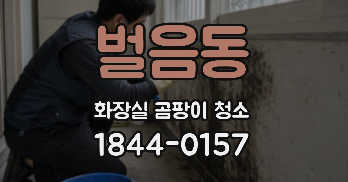 벌음동 화장실 곰팡이 청소