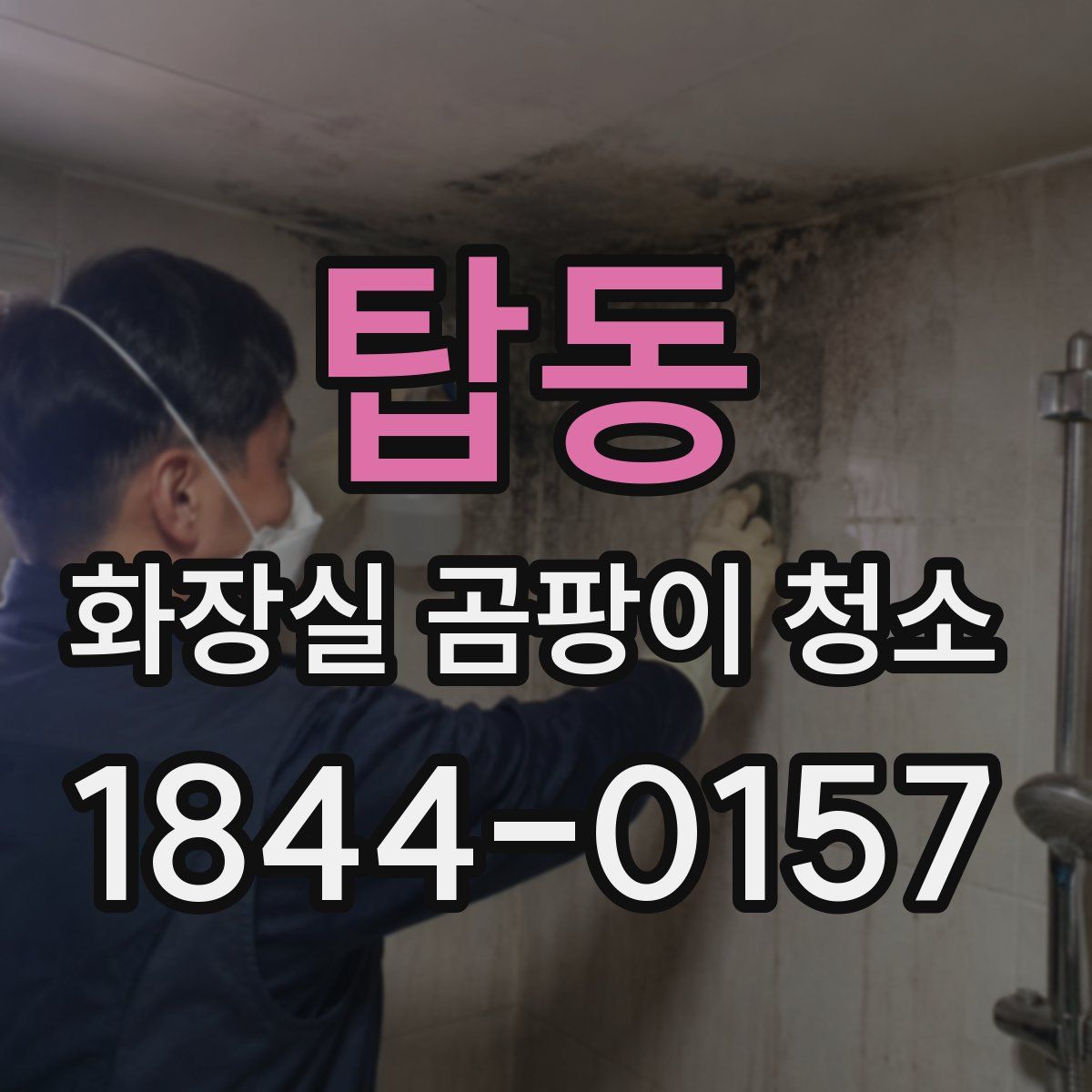 탑동 화장실 곰팡이 청소