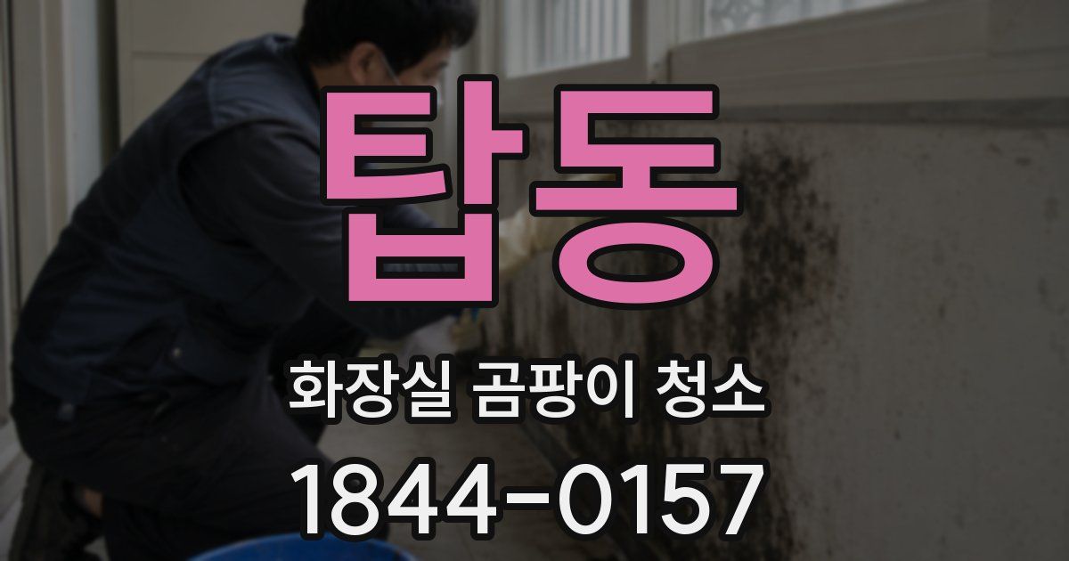 탑동 화장실 곰팡이 청소